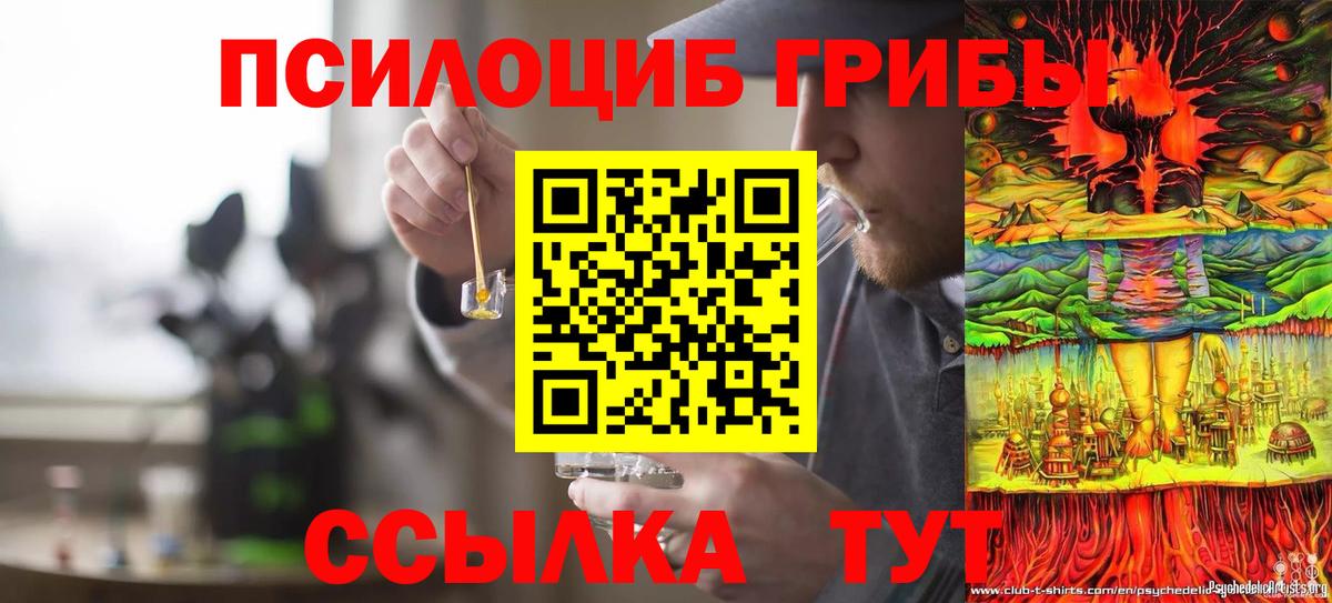 Псилоцибиновые грибы Cubensis Зима