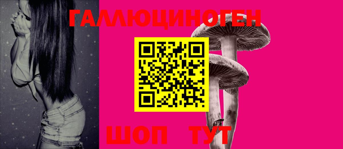 Псилоцибиновые грибы Cubensis  Вход с VPN  Галлюциногенные грибы мухоморы  Зима 